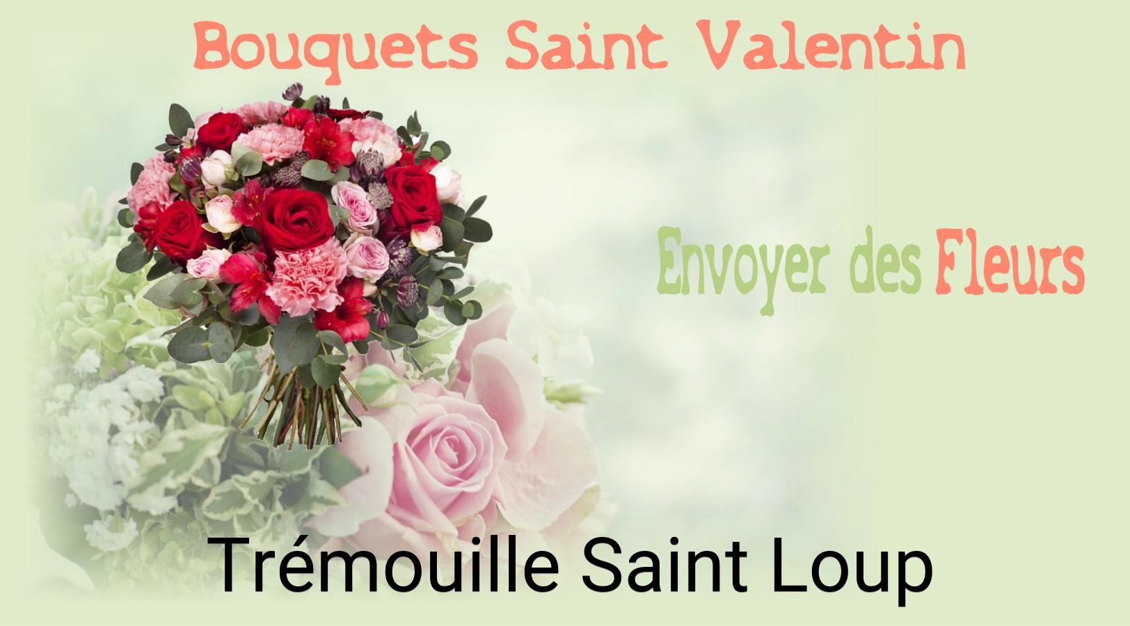 Roses de Saint-Valentin livrées à Trémouille-Saint-Loup