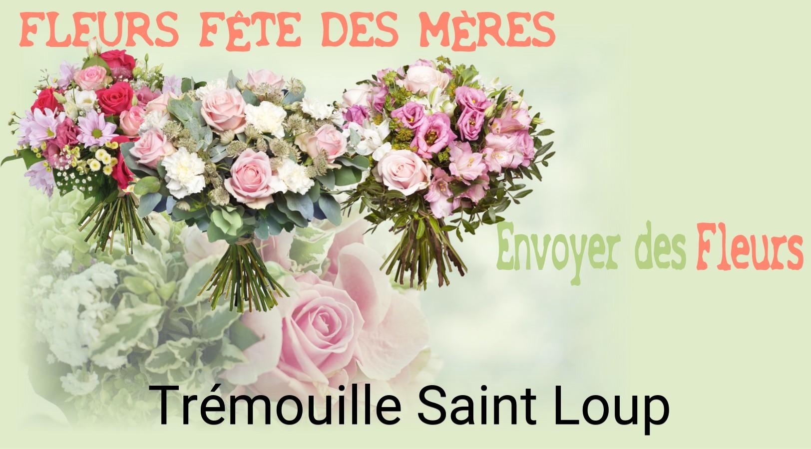 Bouquet de Fête des Mères livré à Trémouille-Saint-Loup